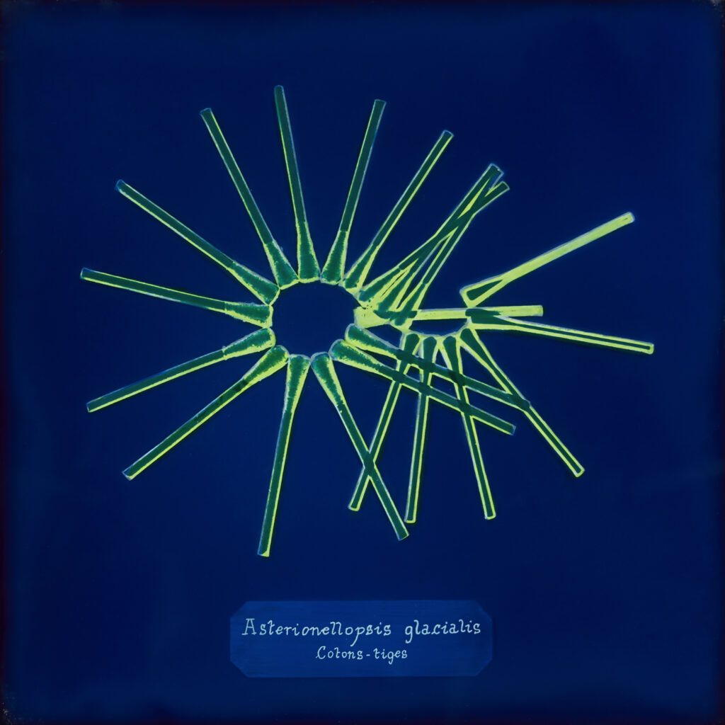 cyanotype sur verre et émulsion vinylique fluorescente